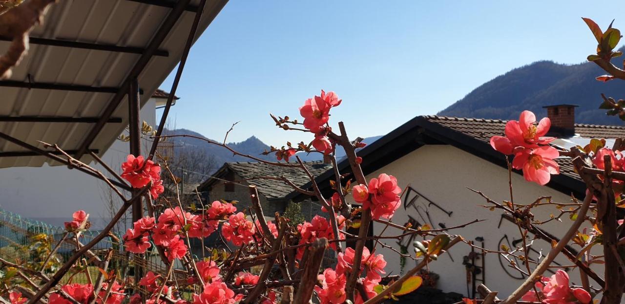 Appartamento Casa le rondini Mezzenile Esterno foto