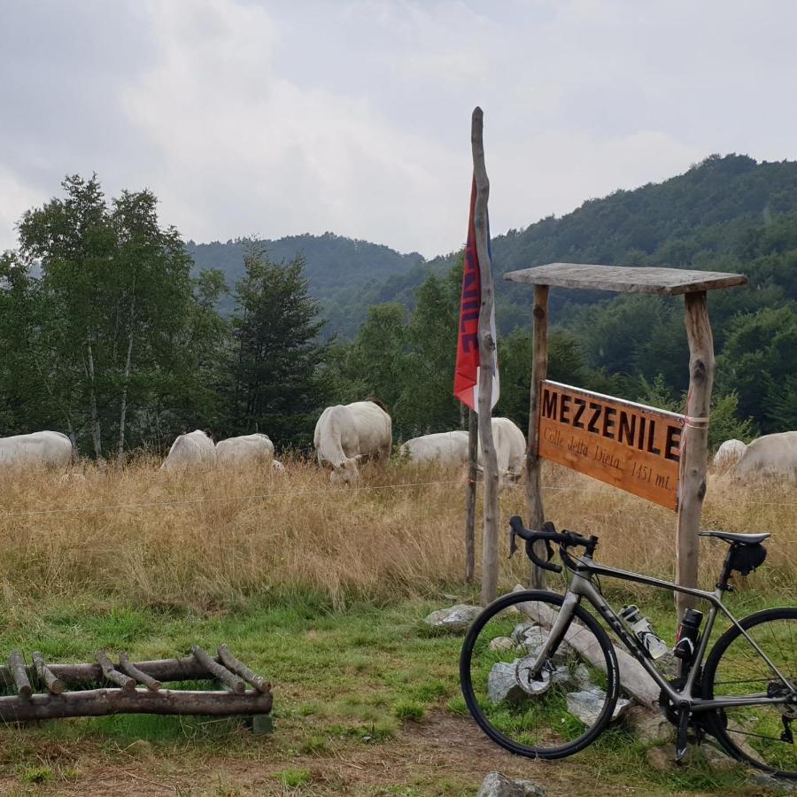 Appartamento Casa le rondini Mezzenile Esterno foto